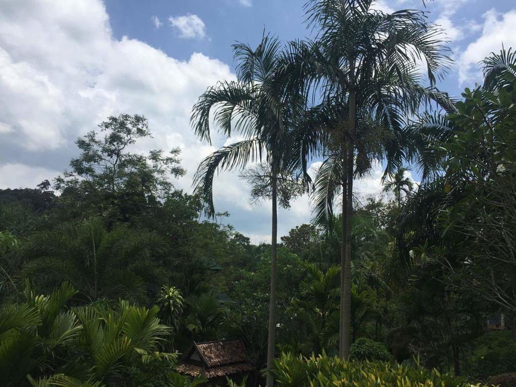 Aonang Cliff Mountain New Resort Ao Nang Εξωτερικό φωτογραφία